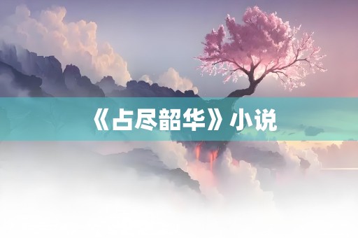 《占尽韶华》小说