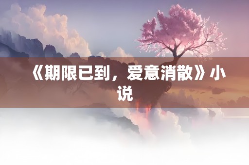 《期限已到，爱意消散》小说