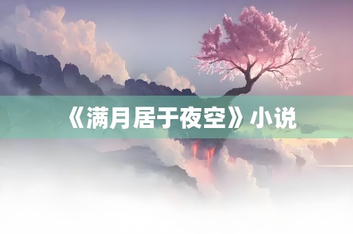 《满月居于夜空》小说