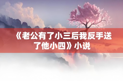 《老公有了小三后我反手送了他小四》小说