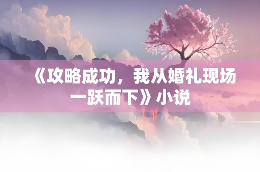 《攻略成功，我从婚礼现场一跃而下》小说