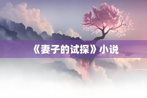 《妻子的试探》小说