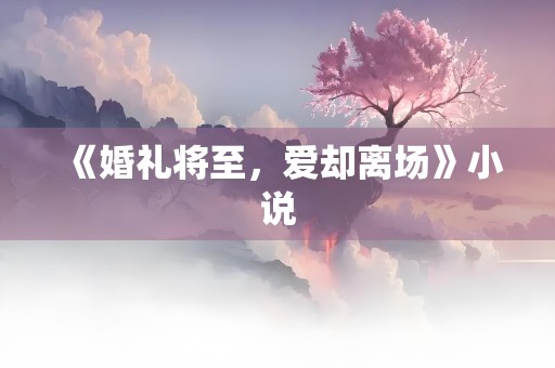 《婚礼将至，爱却离场》小说