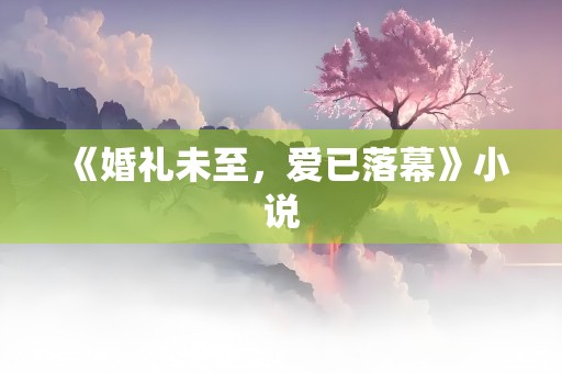 《婚礼未至，爱已落幕》小说