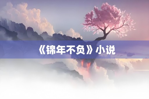 《锦年不负》小说