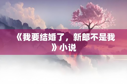 《我要结婚了，新郎不是我》小说