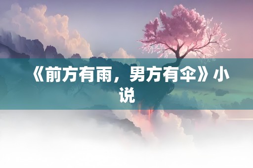 《前方有雨，男方有伞》小说