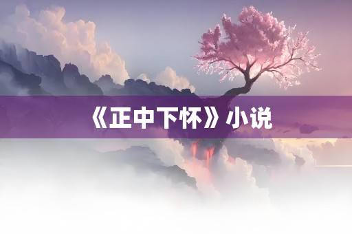 《正中下怀》小说