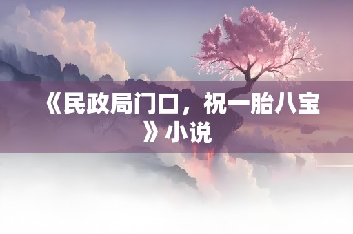 《民政局门口，祝一胎八宝》小说