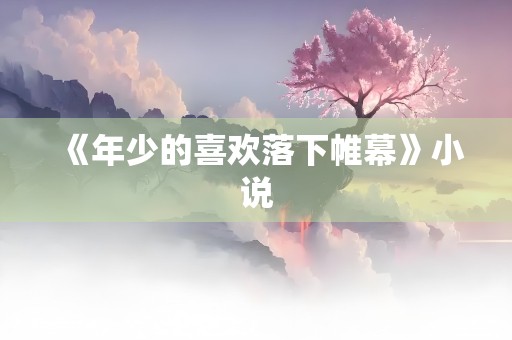 《年少的喜欢落下帷幕》小说