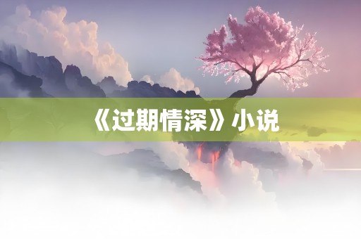 《过期情深》小说