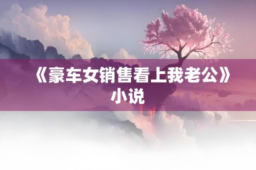 《豪车女销售看上我老公》小说