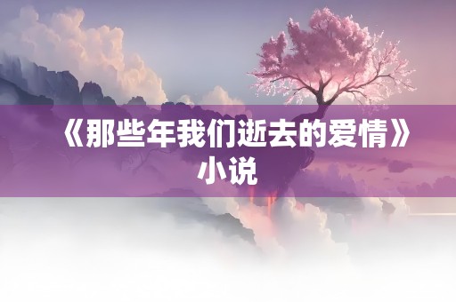 《那些年我们逝去的爱情》小说