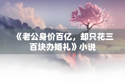 《老公身价百亿，却只花三百块办婚礼》小说