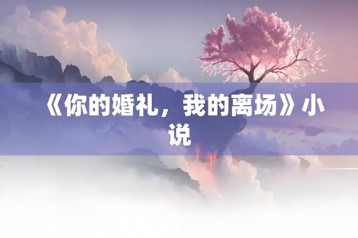 《你的婚礼，我的离场》小说