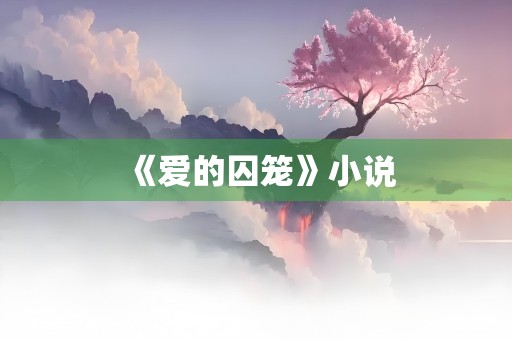 《爱的囚笼》小说