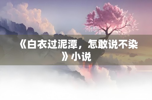 《白衣过泥潭，怎敢说不染》小说