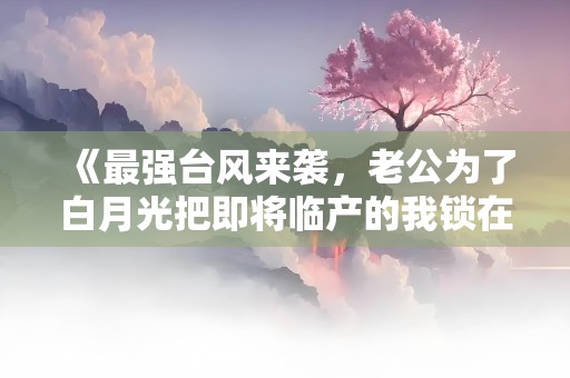 《最强台风来袭，老公为了白月光把即将临产的我锁在阳台外》小说