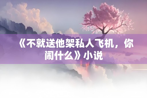 《不就送他架私人飞机，你闹什么》小说