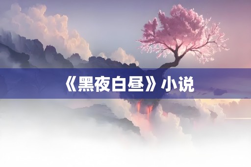 《黑夜白昼》小说