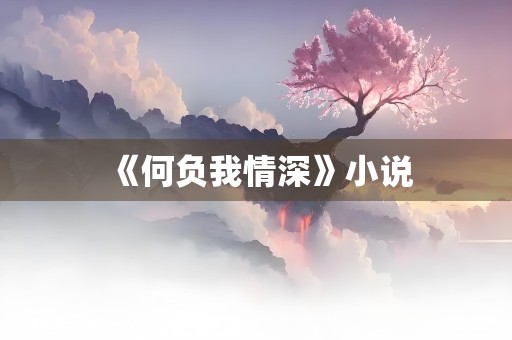 《何负我情深》小说