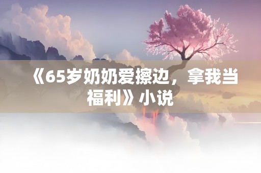 《65岁奶奶爱擦边，拿我当福利》小说