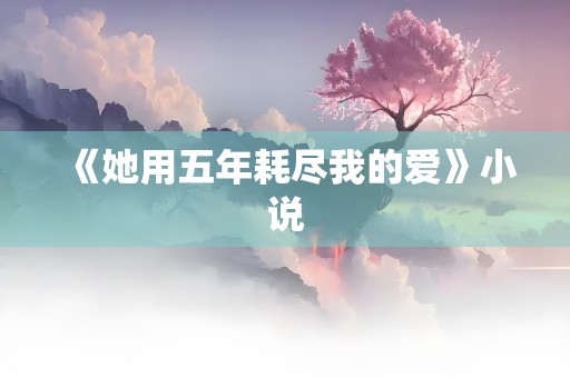 《她用五年耗尽我的爱》小说