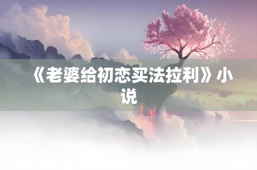 《老婆给初恋买法拉利》小说