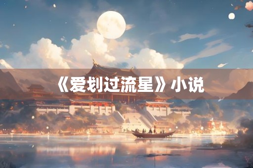 《爱划过流星》小说