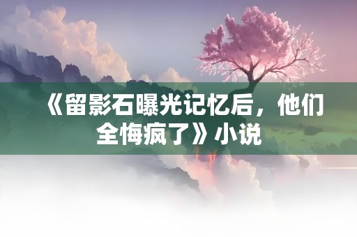 《留影石曝光记忆后，他们全悔疯了》小说