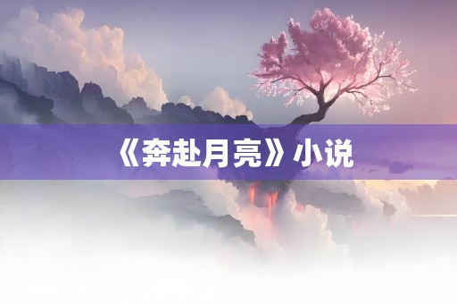 《奔赴月亮》小说