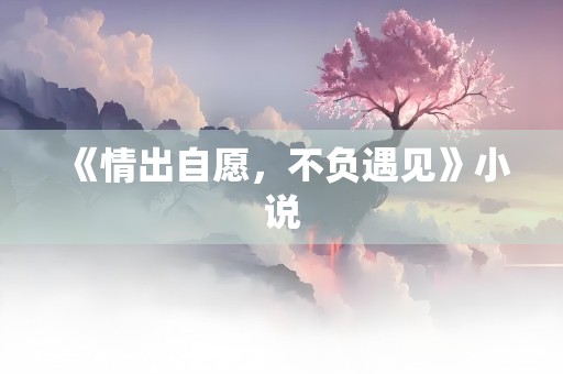 《情出自愿，不负遇见》小说