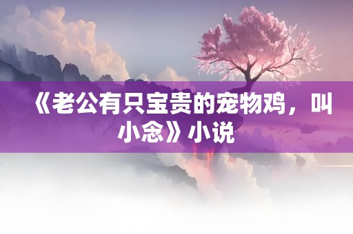 《老公有只宝贵的宠物鸡，叫小念》小说