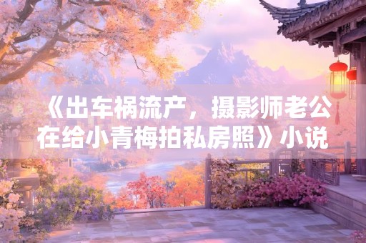 《出车祸流产，摄影师老公在给小青梅拍私房照》小说