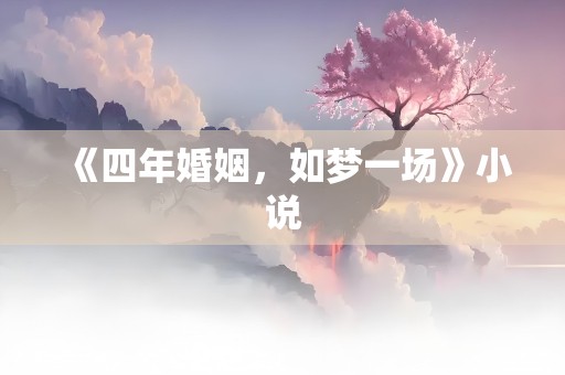 《四年婚姻，如梦一场》小说