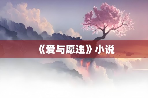 《爱与愿违》小说