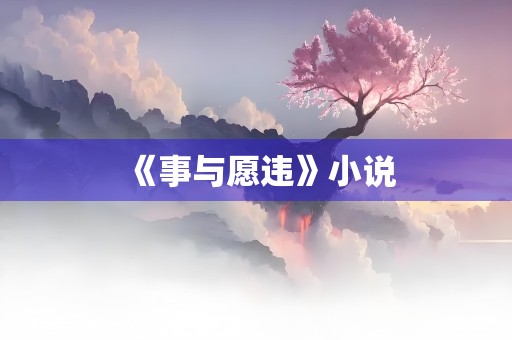 《事与愿违》小说