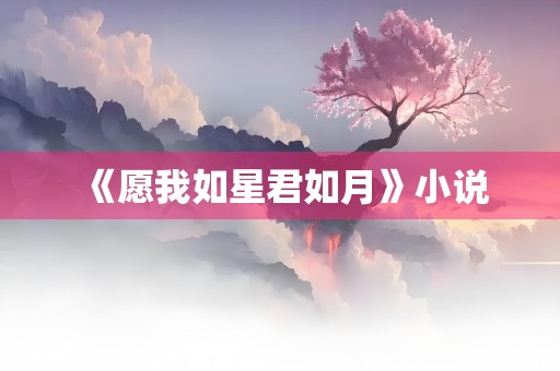 《愿我如星君如月》小说