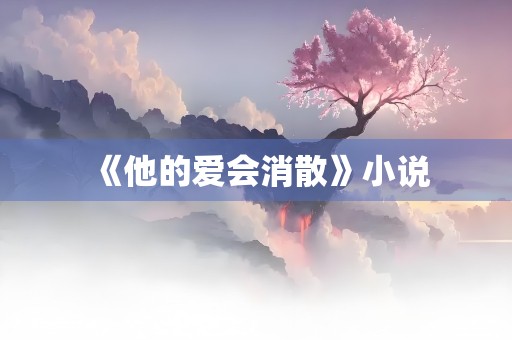 《他的爱会消散》小说