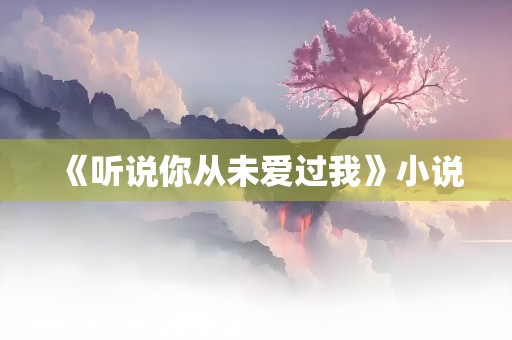 《听说你从未爱过我》小说