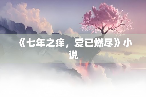 《七年之痒，爱已燃尽》小说