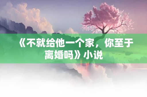 《不就给他一个家，你至于离婚吗》小说