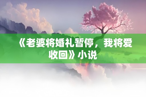 《老婆将婚礼暂停，我将爱收回》小说