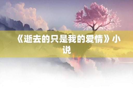 《逝去的只是我的爱情》小说