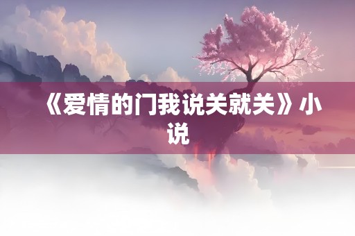 《爱情的门我说关就关》小说