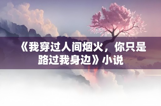 《我穿过人间烟火，你只是路过我身边》小说