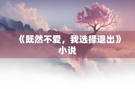 《既然不爱，我选择退出》小说