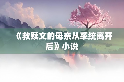 《救赎文的母亲从系统离开后》小说