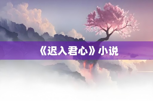 《迟入君心》小说