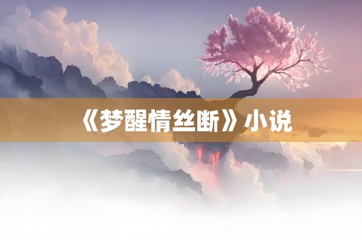 《梦醒情丝断》小说